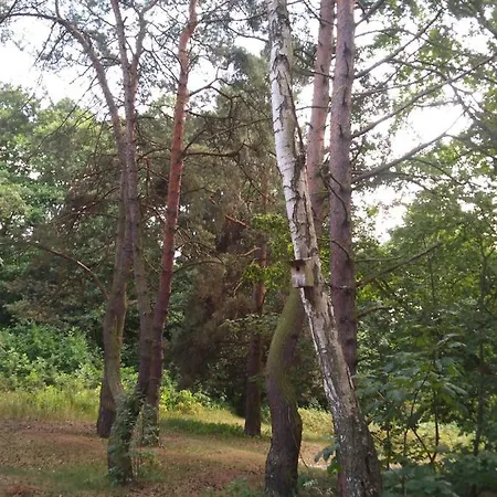 Apartament Blisko Morza